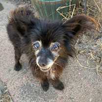 Thumbnail photo of Spud Sprouse #3