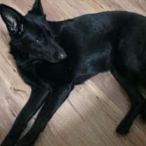 Thumbnail photo of Ella #2