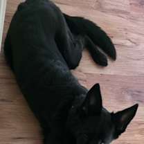 Thumbnail photo of Ella #3