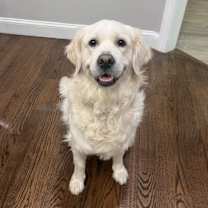 Thumbnail photo of Ellie #1