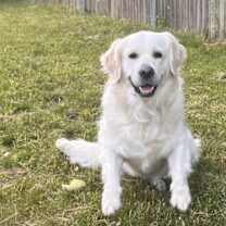 Thumbnail photo of Ellie #2