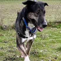 Thumbnail photo of Princess #3