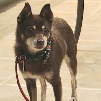 Thumbnail photo of Sharpool #3