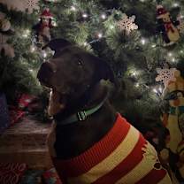 Thumbnail photo of Faren #3