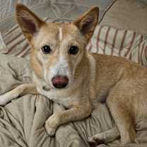 Thumbnail photo of Dorothy #3