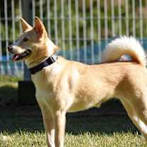 Thumbnail photo of Dorothy #4