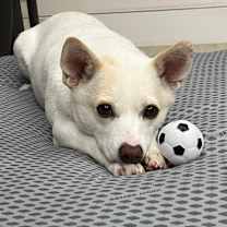 Thumbnail photo of Binnie #4