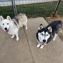 Thumbnail photo of Axel and Canada #4