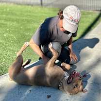 Thumbnail photo of Linnett - ECAS #2