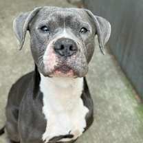 Thumbnail photo of Cinder ~ Coming Soon!!! #1