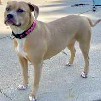 Thumbnail photo of Henrietta #2