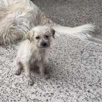 Thumbnail photo of Freya #3