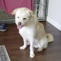 Thumbnail photo of Zip #4