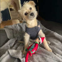 Thumbnail photo of Freya #1