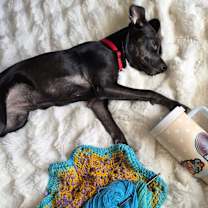 Thumbnail photo of Daisy #4