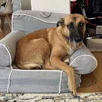 Thumbnail photo of Nana #1