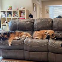 Thumbnail photo of Nana #4