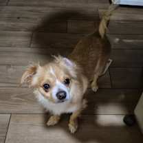 Thumbnail photo of Mr. Spanny #1