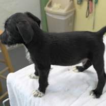 Thumbnail photo of Daylight #3