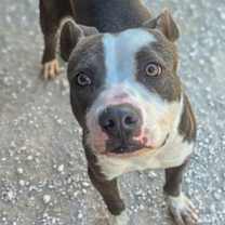 Thumbnail photo of Frogg #2