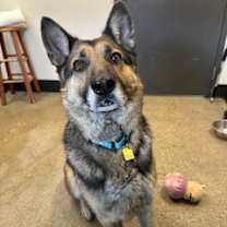 Thumbnail photo of Declan VI 10 #1