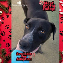 Thumbnail photo of Crystal #1