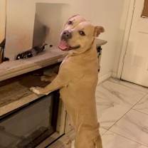 Thumbnail photo of Latto #3