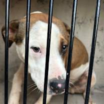 Thumbnail photo of Gambit #3