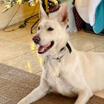 Thumbnail photo of Moro #2