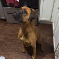 Thumbnail photo of Grandota #1