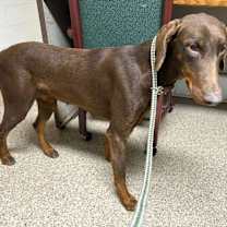 Thumbnail photo of Kamila #1