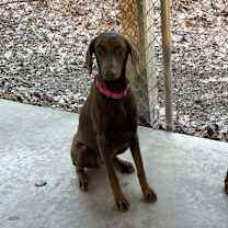 Thumbnail photo of Kamila #2