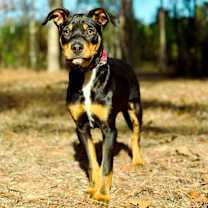 Thumbnail photo of Noah #2