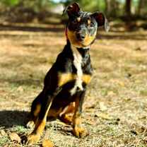 Thumbnail photo of Noah #4