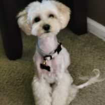 Thumbnail photo of Sunshine #1