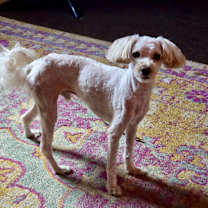 Thumbnail photo of Sunshine #3