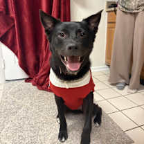 Thumbnail photo of Boo #2