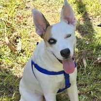 Thumbnail photo of Angel #1