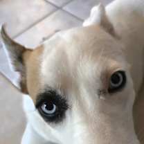 Thumbnail photo of Angel #4