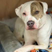 Thumbnail photo of Ashley #1