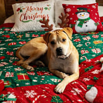 Thumbnail photo of Breaker #1