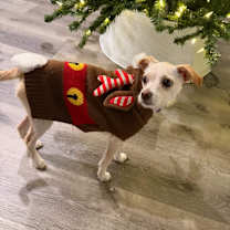 Thumbnail photo of Elfie #2