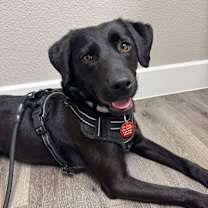 Thumbnail photo of Clover #3