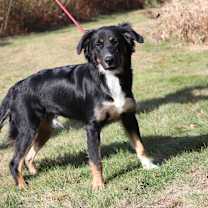 Thumbnail photo of CT Mookie #4