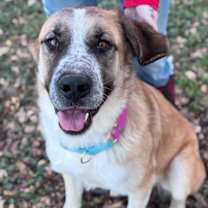 Thumbnail photo of Bo #1