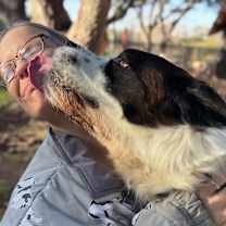 Thumbnail photo of Rocko #2