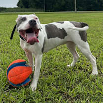 Thumbnail photo of Mika #4