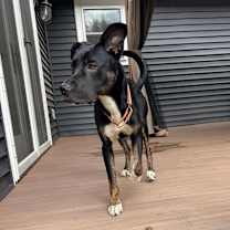 Thumbnail photo of Watson #3