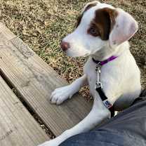 Thumbnail photo of Gemma #3