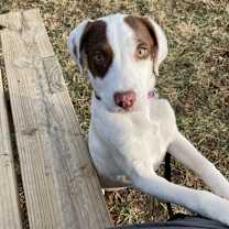 Thumbnail photo of Gemma #4